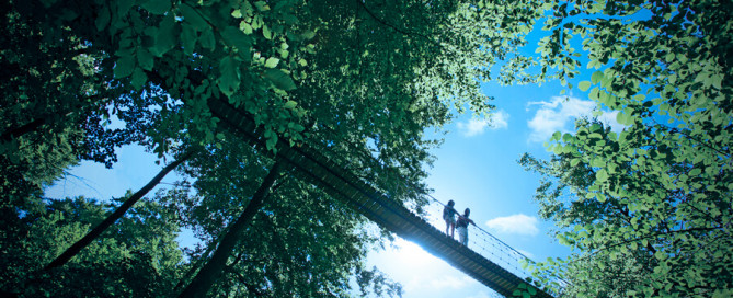 Hängebrücke Rothaarsteig (Suspension Bridge)