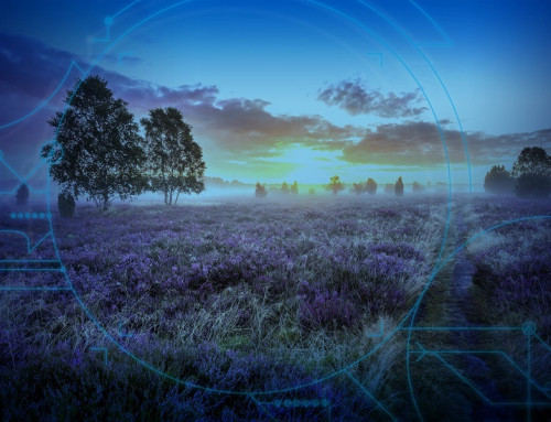 Visitor Guidance and Open Data in Lower Saxony