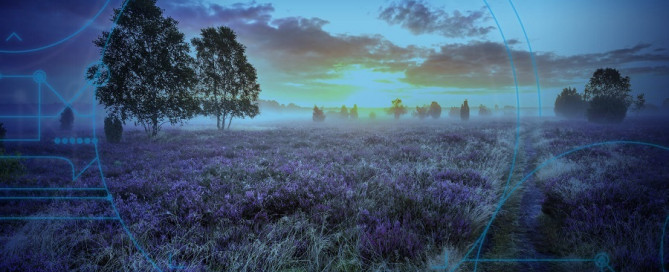 Lüneburg Heath
