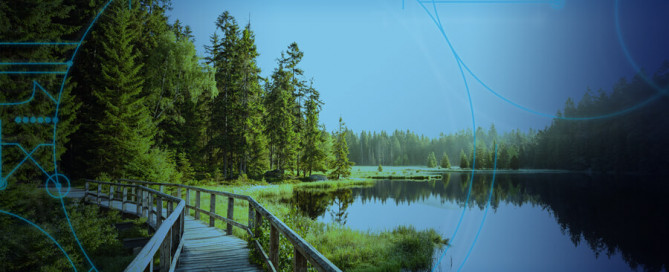Footbridge at the Fichtelsee